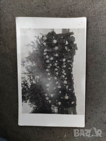 Продавам снимка Подофицервко дружество Борован 1934