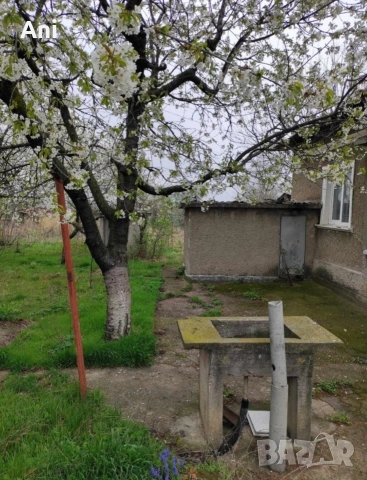 Къща в с. Беловец , снимка 6 - Къщи - 53661596