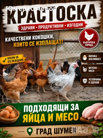 Млади Ярки Крастоски