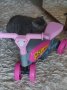 Бебешко колело, снимка 1 - Скутери и тротинетки - 40328027