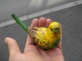 КЕРАМИЧНА ФИГУРКА ПАПАГАЛ , снимка 3