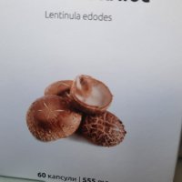 Шиитаке + (Shiitake +), 60 капсули х 555 мг, снимка 2 - Хранителни добавки - 33817910