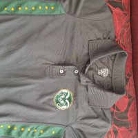 Colorado Rams polo T-shirt, снимка 1 - Тениски - 41703361