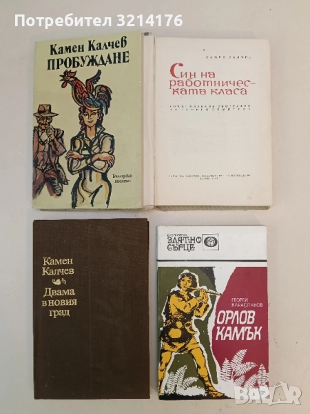 Пробуждане - Камен Калчев, снимка 1