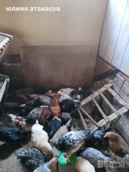 Продавам пилета, снимка 1