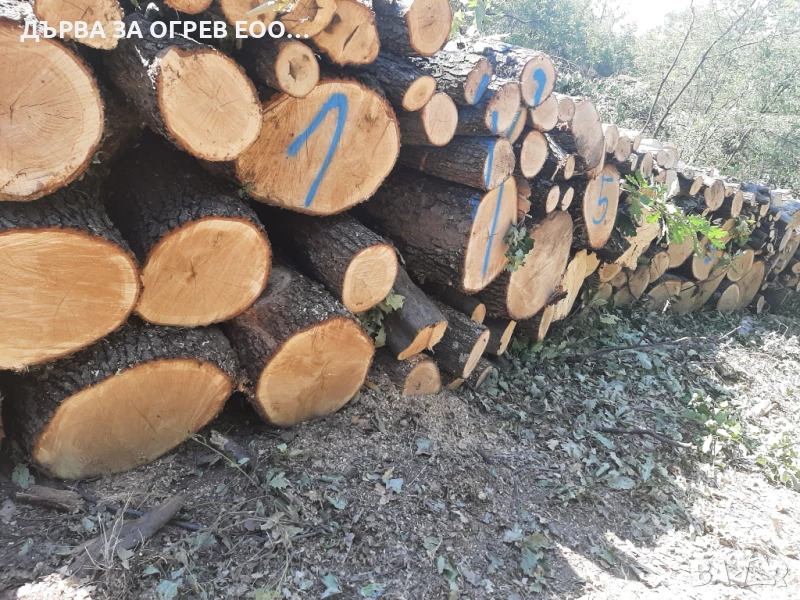 дърва за огрев метровки дъб , снимка 1
