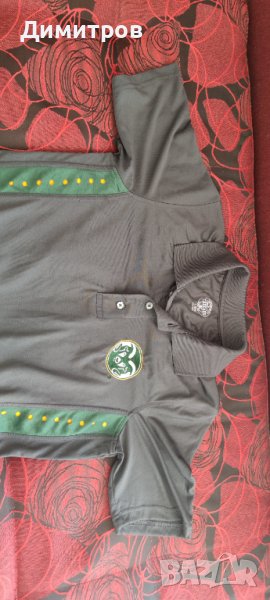 Colorado Rams polo T-shirt, снимка 1