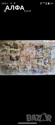 Сухи цветя за украса и аранжировка - гипсофил , снимка 4 - Други стоки за дома - 50565285