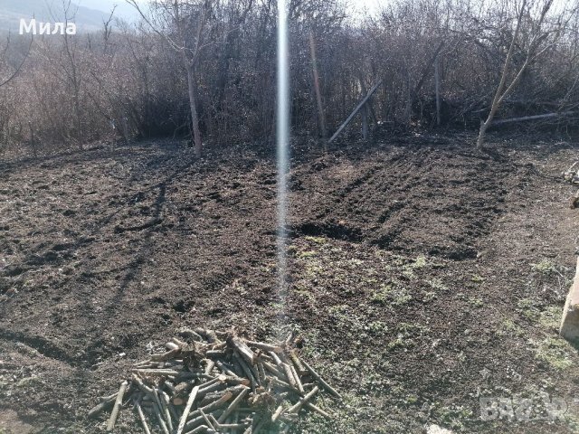 Парцел в м-т Козлуджа, снимка 8 - Парцели - 35751988