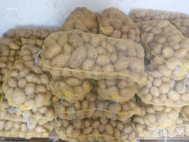 Продавам картофи в Домашни продукти в с. Гълъбник - ID42070704 — Bazar.bg