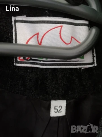 Палта, снимка 2 - Палта, манта - 50826003