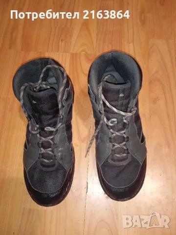 Ежедневни боти