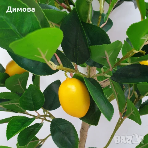 Дърво Лимон 160 см, снимка 3 - Декорация за дома - 50894487