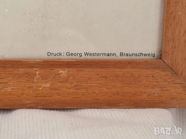 Картина колекционерска, снимка 3 - Картини - 48732559