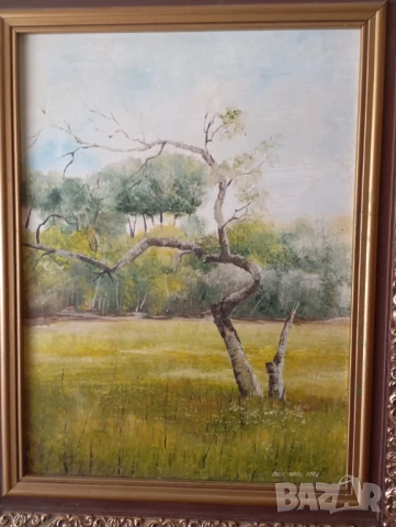 Картина - пейзаж, снимка 2 - Картини - 51229450