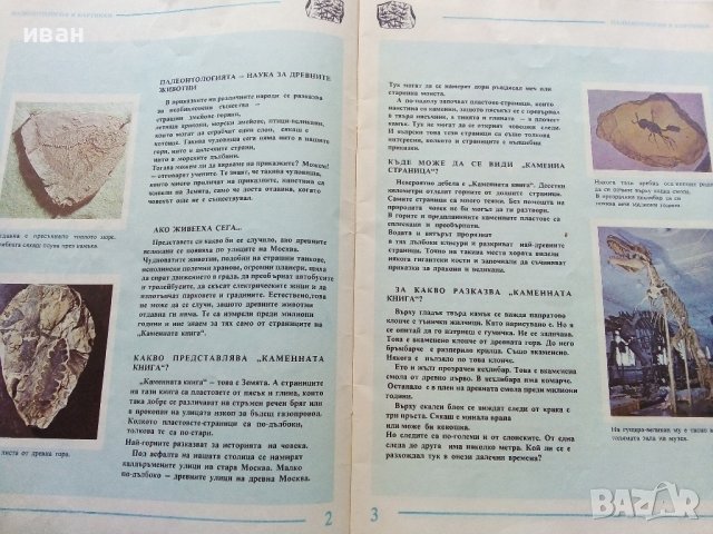 Палеонтология в картинки - И.Яковлева - 1984г. , снимка 3 - Детски книжки - 38938213