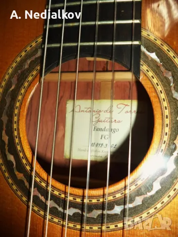 Kremona Fandango FG, снимка 2 - Китари - 47874169