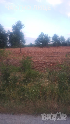 парцел в регулация 130 декара до Мало Бучино под Люлин планина, снимка 15 - Парцели - 37813046