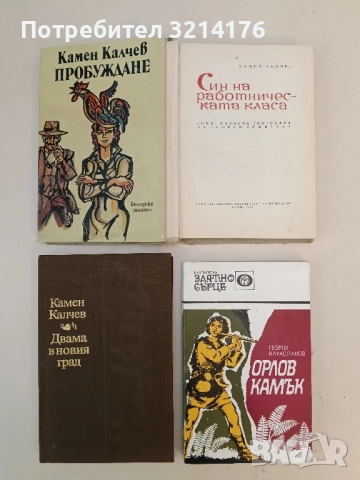 Пробуждане - Камен Калчев