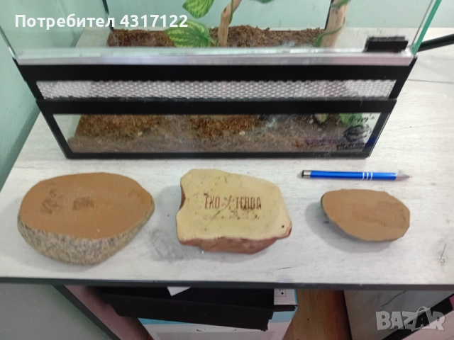 Терариум терариум, снимка 4 - Хамелеон - 53830266