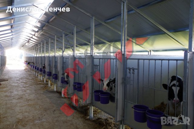Клетки за телета, снимка 6 - За селскостопански - 34654632