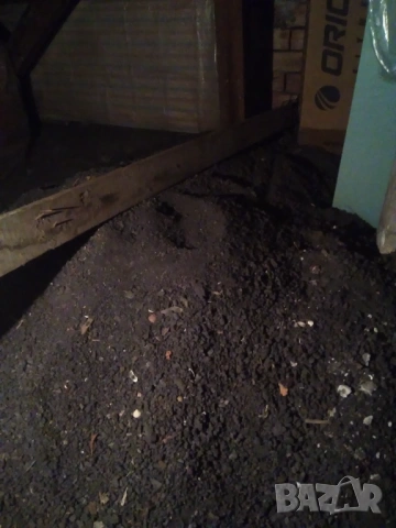 Подарявам сгурия, снимка 2 - Други стоки за дома - 53518807