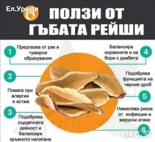 Гъба Рейши - Чудото на Изтока в Хранителни добавки в гр. Свиленград ...