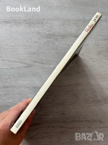 Рейки – Даян Стейн, Кибеа , снимка 2 - Други - 53295806