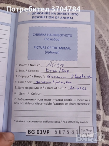 Продавам немска овчарка , снимка 2 - Немска овчарка - 53163238