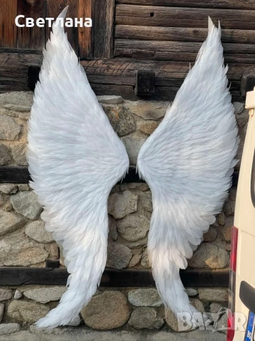 Големи ангелски крила 