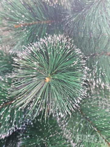 Коледна елха с бели заскрежени връхчета., снимка 4 - Декорация за дома - 52369230