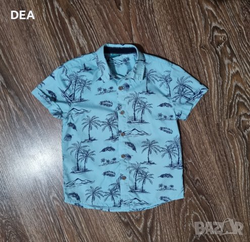 Синя риза палми 110см-6лв., снимка 1