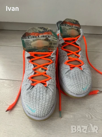Diana Taurasi x LeBron 18 GOAT 