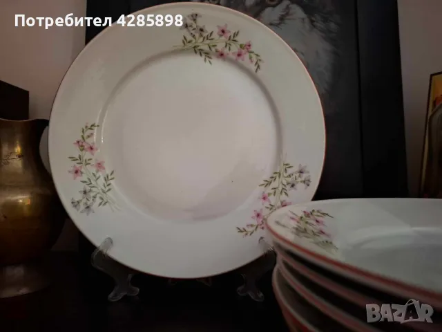 Порцеланови чинии.Розова незабравка на Изида.Червен кант., снимка 2 - Чинии - 48813514
