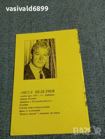 Ангел Неделчев - Нежни струни , снимка 3 - Българска литература - 53638775
