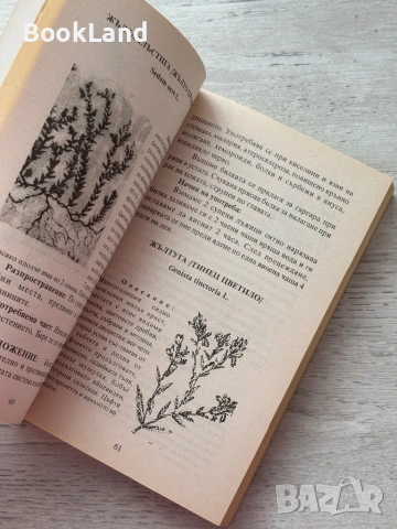 Лековити билки| Как народът се лекува , снимка 13 - Други - 53200270