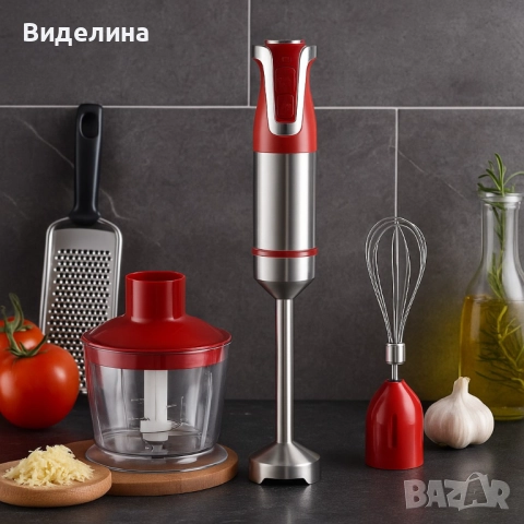 Пасатор 3 в 1 с чопър и бъркалка Royalty Line RL-ESMS800