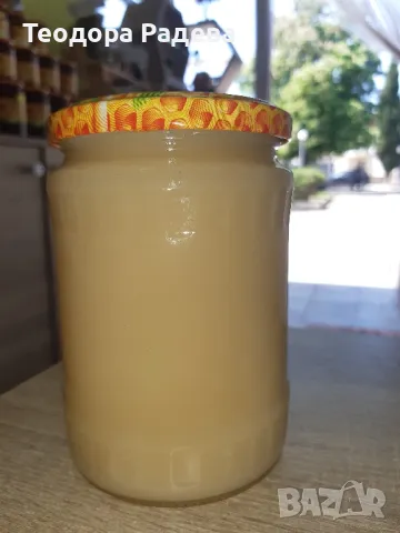 мед от Рапица, снимка 2 - Пчелни продукти - 50343100