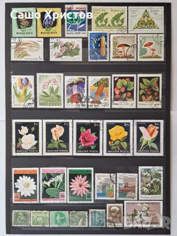 Пощенски марки тема ”Растения”., снимка 5 - Филателия - 49390160