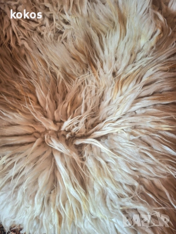 Автентични вълнени китеници халища губери, снимка 3 - Други - 51522955