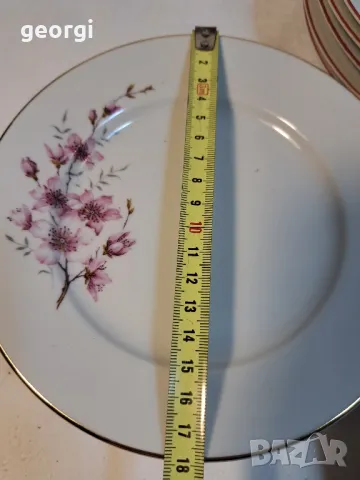 кана и чинии български порцелан ябълков цвят     4/2, снимка 7 - Чинии - 49025559