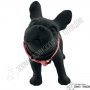 PetInterest Dog Harness Dots Pink - Нагръдник за Куче - S, M, L размер, снимка 3