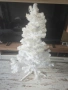 Елха бяла 150 см., снимка 5