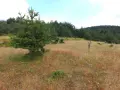 продавам ливада в землището на село Лилково община Родопи, снимка 8