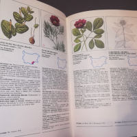 Червена книга на България - Том 1 - Растения , снимка 4 - Художествена литература - 44562009