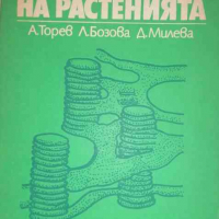 Физиология на растенията -А. Торев, Л. Бозова, Д. Милева, снимка 1 - Специализирана литература - 36466649