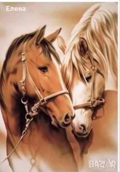 Диамантен гоблен - комплект за изработка, снимка 1