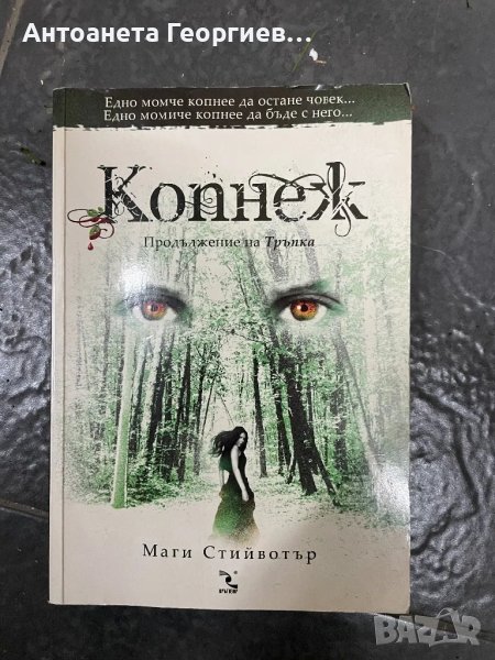 Маги Стийвотър - Копнеж, снимка 1
