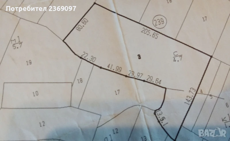 Продавам широколистна гора, снимка 1