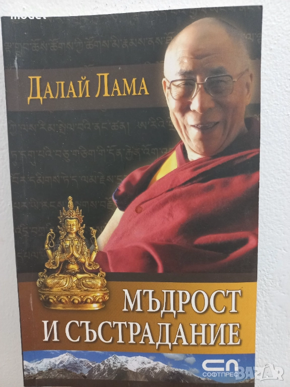Мъдрост и състрадание - Далай Лама , снимка 1